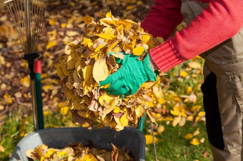Responsible waste collection and disposal service in Putney